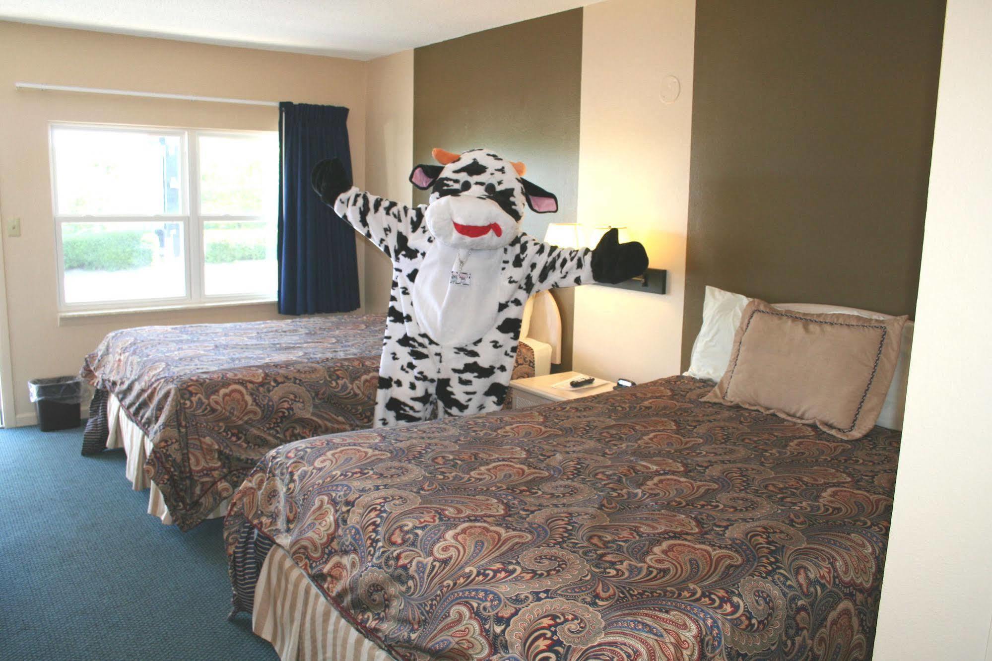 Lake Lighthouse Inn 欧塞奇湾泳滩 外观 照片